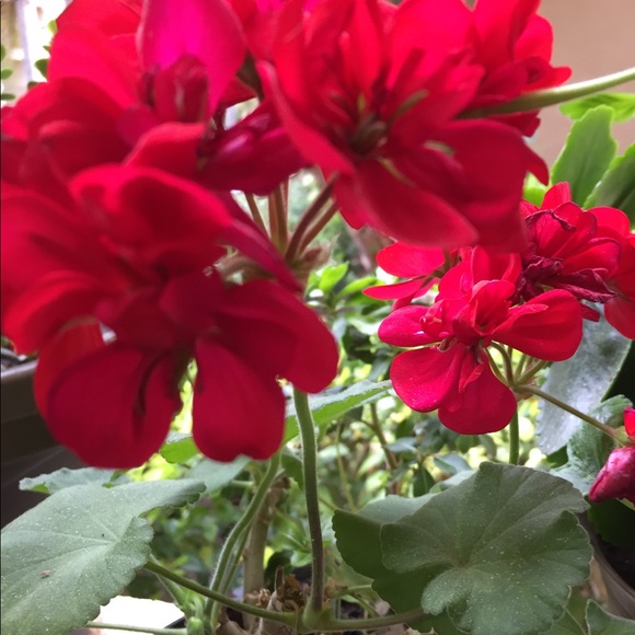 On VACAY‼️🤗📖TAG Me and I will give you a great OFFERI 🥰let me know☄️ - Picture 3 of 7